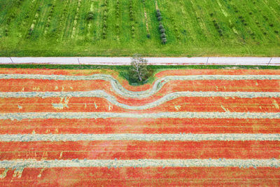 Full frame shot of field