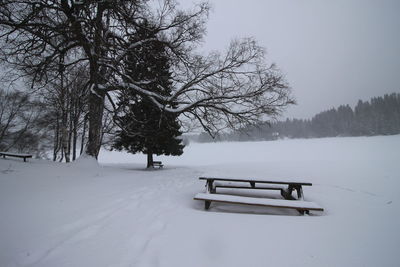 Trees on snow covered field against sky