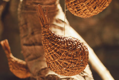 Close-up of bird hanging on wicker basket