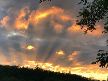 Low angle view of silhouette trees against dramatic sky