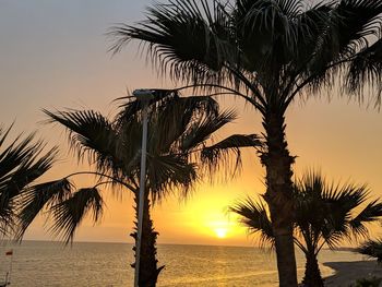 Silhouette palm tree by sea against sky during sunset