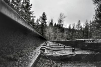 Close-up of railroad track by trees against sky