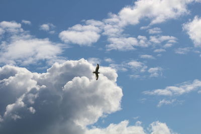 Low angle view of person against sky