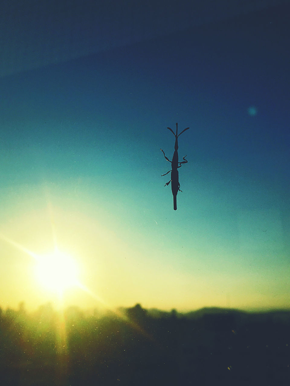 LOW ANGLE VIEW OF SILHOUETTE BIRD FLYING AGAINST SKY