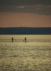 Silhouette people paddleboarding in sea against sky during sunset