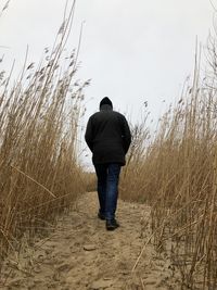 Rear view of man walking on field