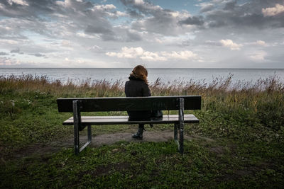 Rear view of man sitting on bench looking at sea