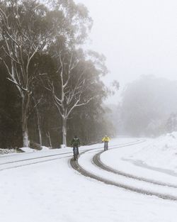 Rear view of people walking on snow covered landscape