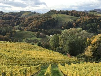 Scenic view of vineyards field against sky / südsteiermark 