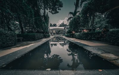 Canal amidst trees against sky in city