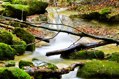 Close-up of rocks by lake