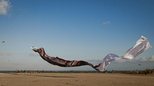 On the beach with a sunset background decorated with kites in the sky