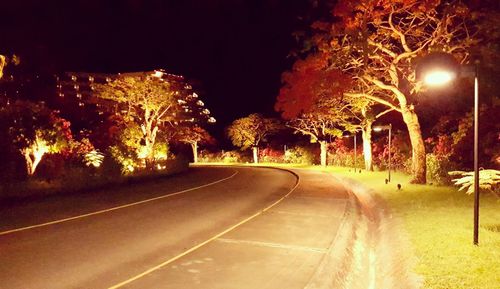 Illuminated empty road by trees at night