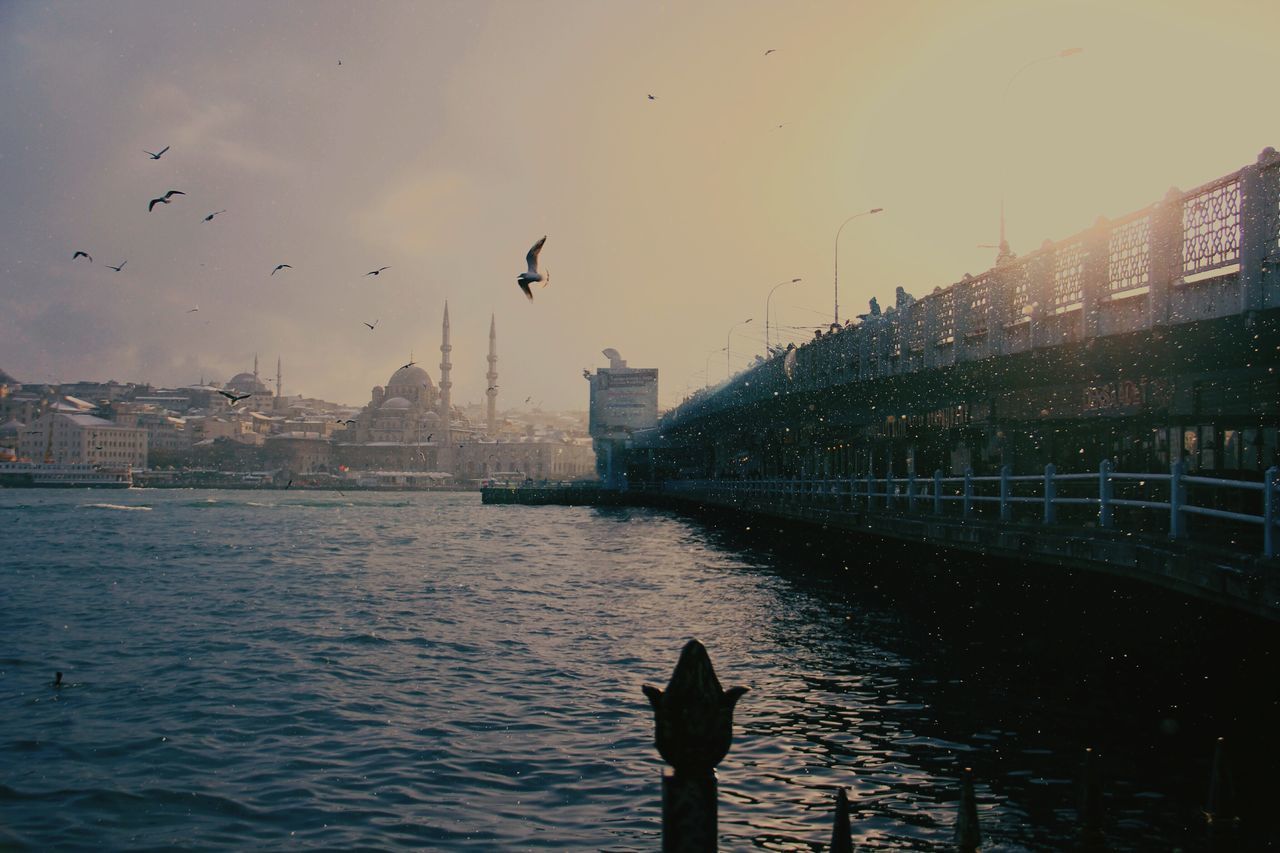 bird, architecture, built structure, building exterior, water, animal themes, animals in the wild, wildlife, flying, city, river, sky, waterfront, cityscape, one animal, spread wings, bridge - man made structure, silhouette, outdoors