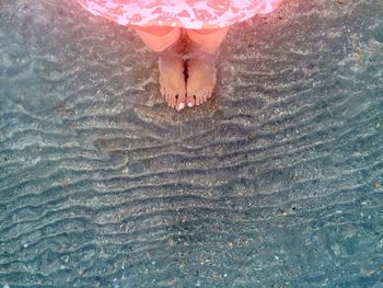 Low section of person swimming in sea