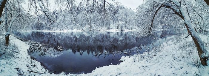 Frozen lake by trees during winter