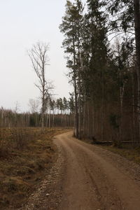 Dirt road amidst trees in forest against sky