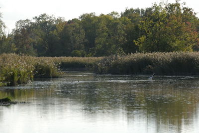 View of a lake