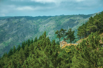 Wooded valley with a small house next to a road at the highlands of serra da estrela. portugal.