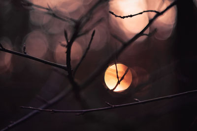 Close-up of illuminated light against sky at sunset