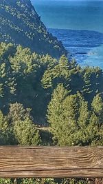 High angle view of plants by sea against sky