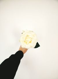 Cropped image of hand holding over white background