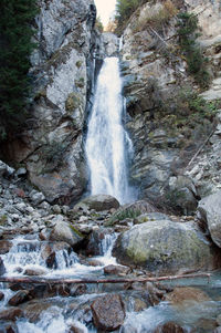 Scenic view of waterfall in forest