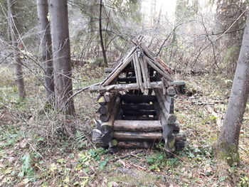 Old wooden structure on field in forest