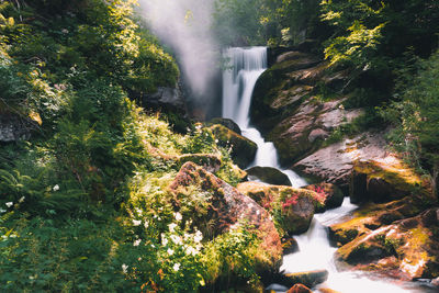 Waterfall in forest