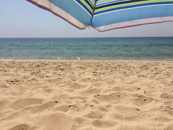 Scenic view of beach