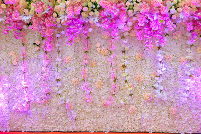 Full frame shot of pink flowers on wall
