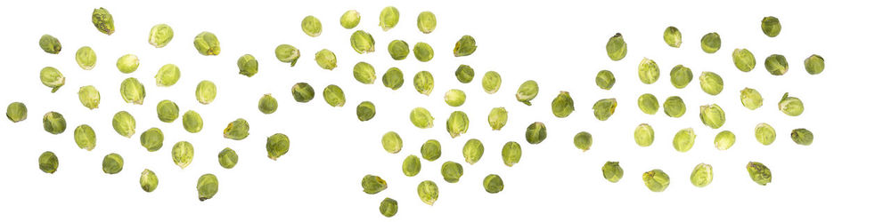 Close-up of leaves against white background