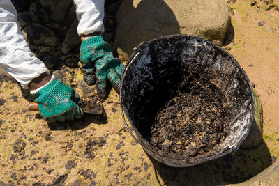 Cleaning agents extract oil from pedra do sal beach in the city of salvador. 