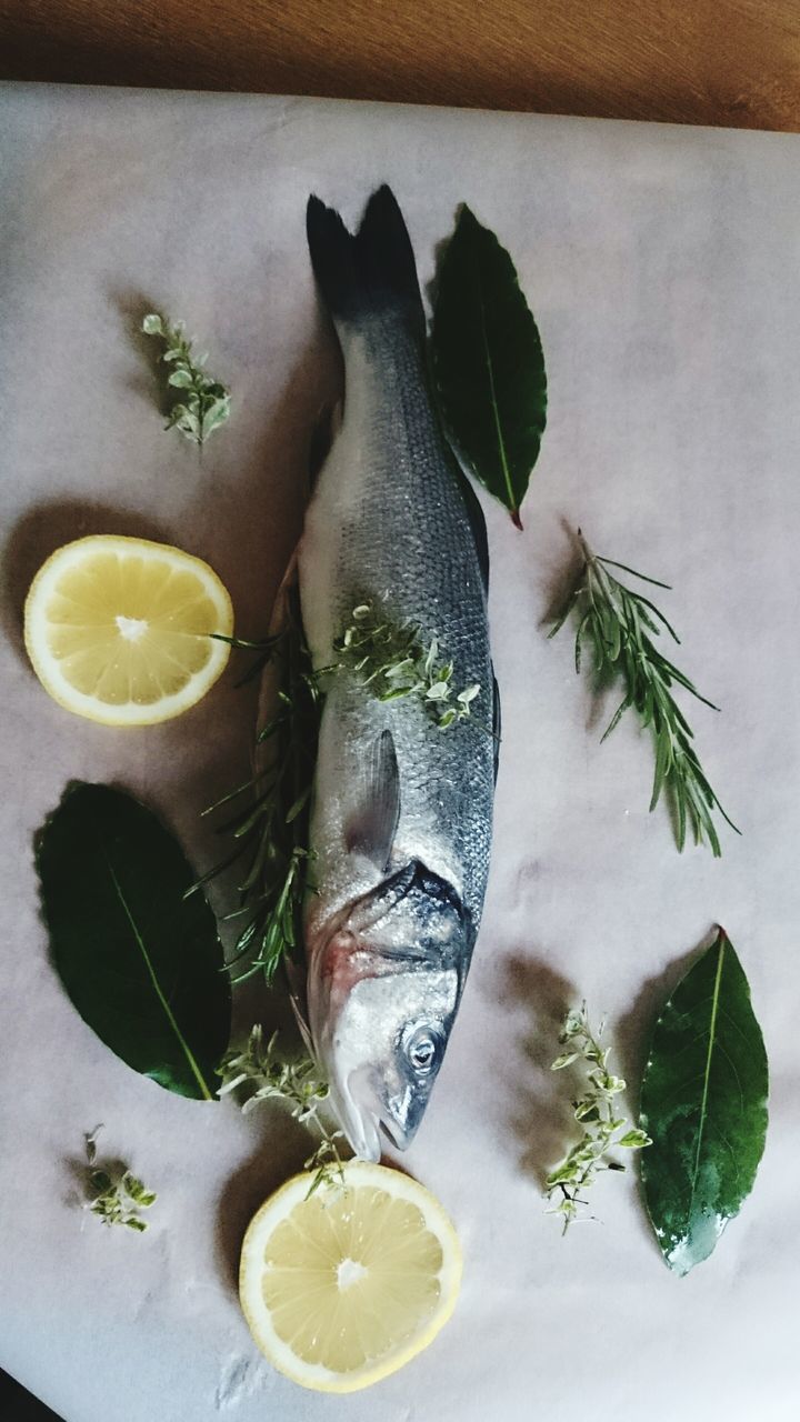 indoors, food and drink, food, healthy eating, freshness, leaf, still life, high angle view, plate, close-up, table, vegetable, green color, no people, ready-to-eat, raw food, slice, fruit, seafood, directly above