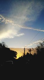 Silhouette of trees at sunset