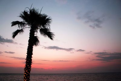 Silhouette palm tree by sea against sky at sunset