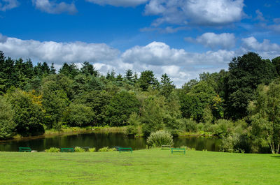 Scenic view of lake by trees against sky