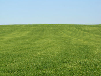 Scenic view of field against clear sky