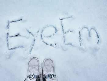 Person standing on snow covered landscape