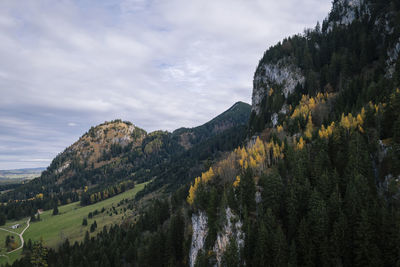 Scenic view of forest on mountains against sky