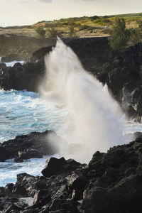 Le souffleur or a natural geyser at reunion island close to saint leu city