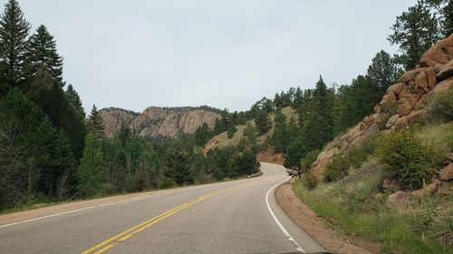 Road by trees against sky