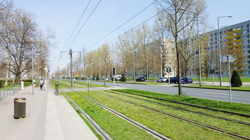 Bare trees in park