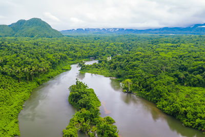 environment