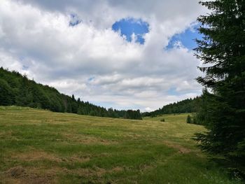 Scenic view of landscape against sky