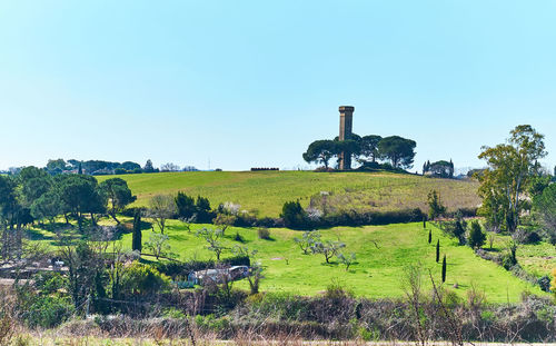 Scenic view of field against clear sky
