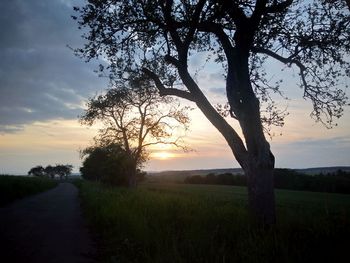 Scenic view of field against sky during sunset