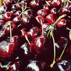 Close-up of red chili peppers