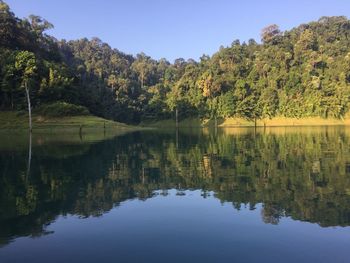 Reflection of trees in lake against clear sky