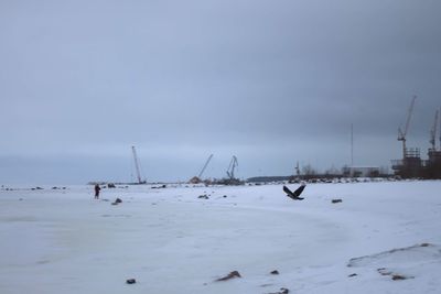 Scenic view of sea against sky during winter